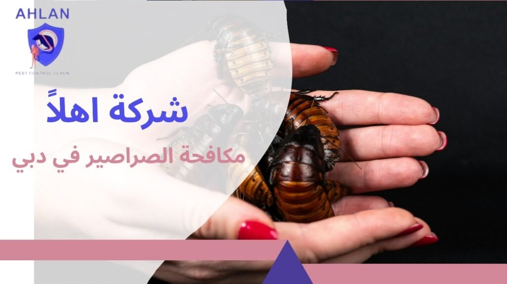 مكافحة الصراصير في دبي
