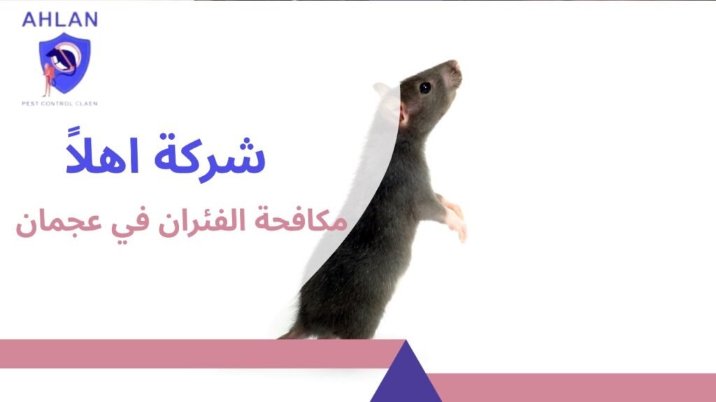 مكافحة الفئران في عجمان