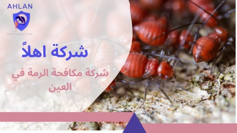 شركة مكافحة الرمة العين علاج النمل الابيض وضمان مكتوب 10%