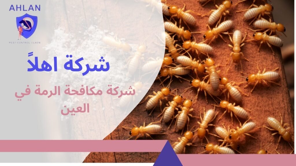 شركة مكافحة الرمة العين