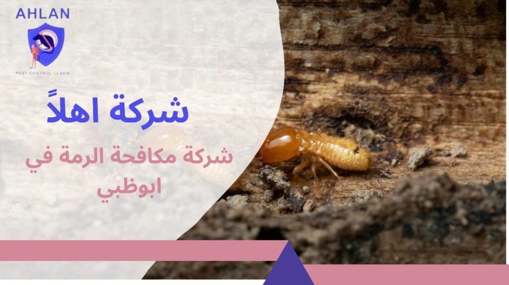 شركة مكافحة الرمة في ابوظبي
