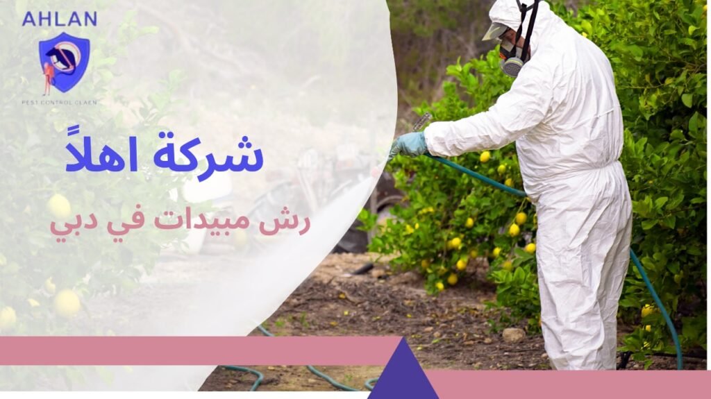 رش مبيدات في دبي