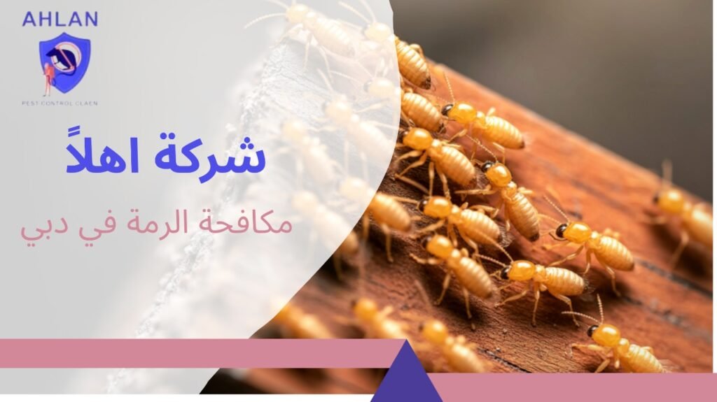 مكافحة الرمة في دبي