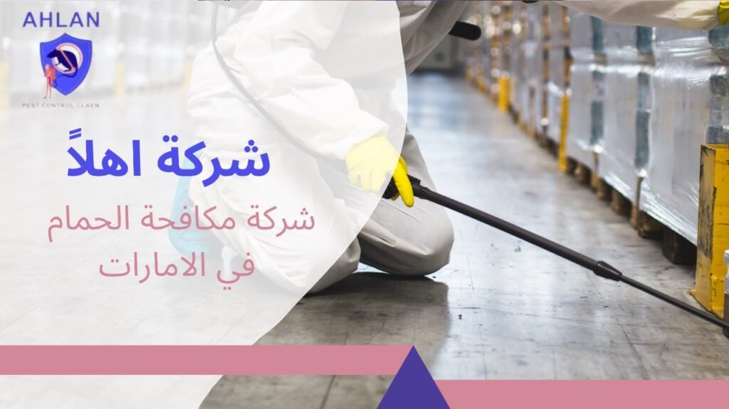شركة مكافحة الحمام في الامارات