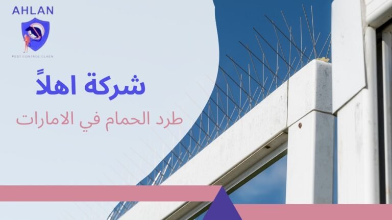 طرد الحمام في الامارات بحلول احترافية وتركيب طارد حمام بخصم10%