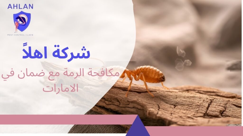 مكافحة الرمة مع ضمان في الامارات