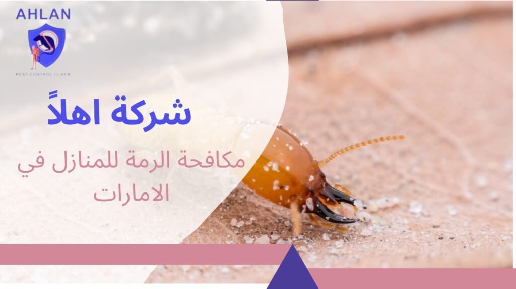 مكافحة الرمة للمنازل في الامارات