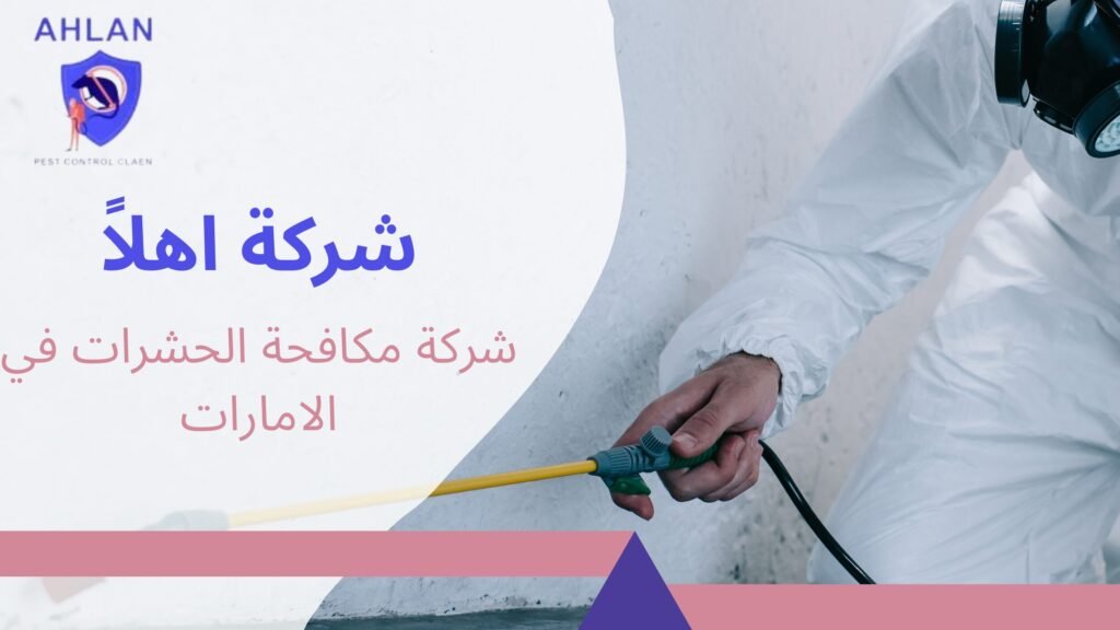 شركات رش الحشرات في الامارات