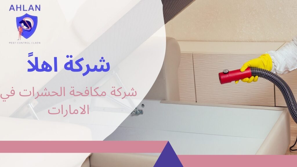 شركة مكافحة الحشرات في الامارات