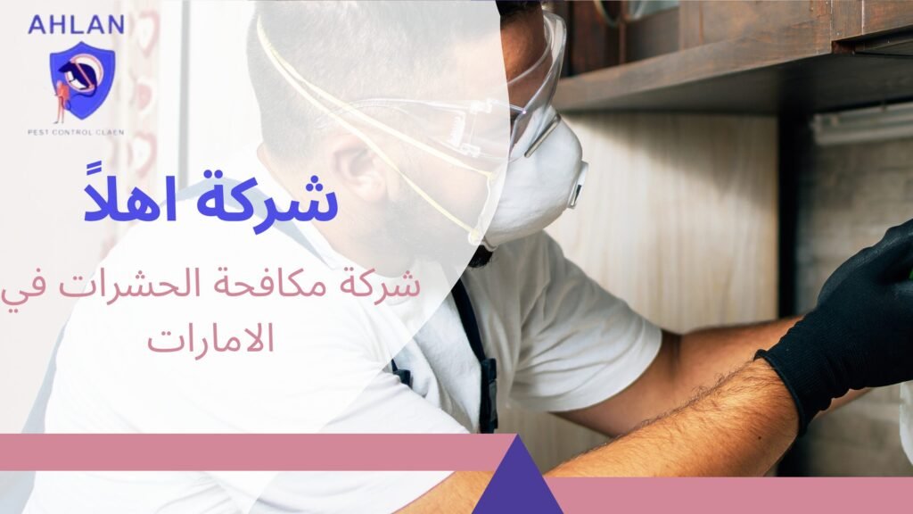 شركات رش الحشرات في الامارات