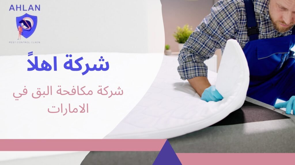 شركة مكافحة البق في الامارات