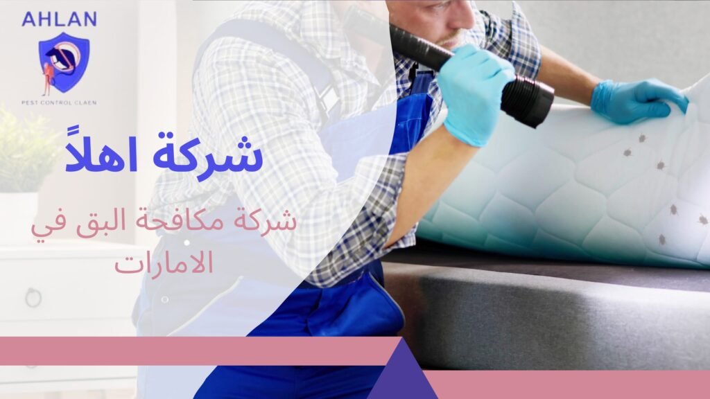 شركة مكافحة البق في الامارات