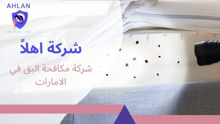 شركة مكافحة البق في الامارات