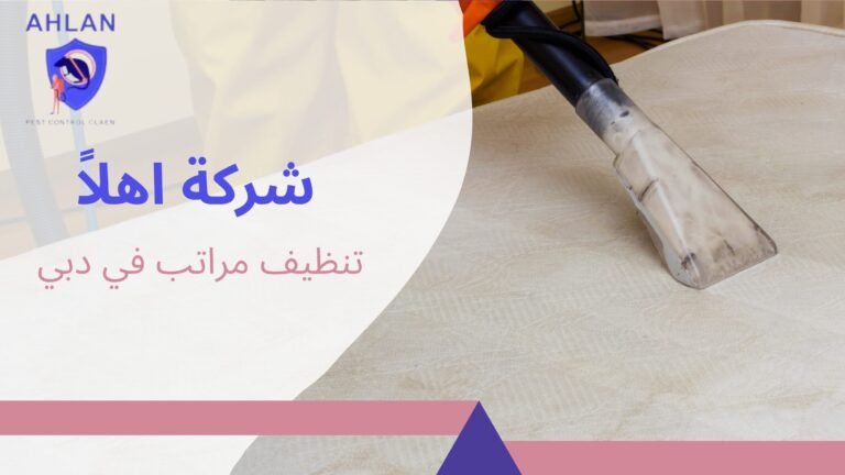 تنظيف مراتب في دبي خدمات احترافية للقضاء على الغبار والبق2026