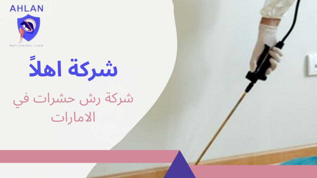 شركة رش حشرات في الامارات