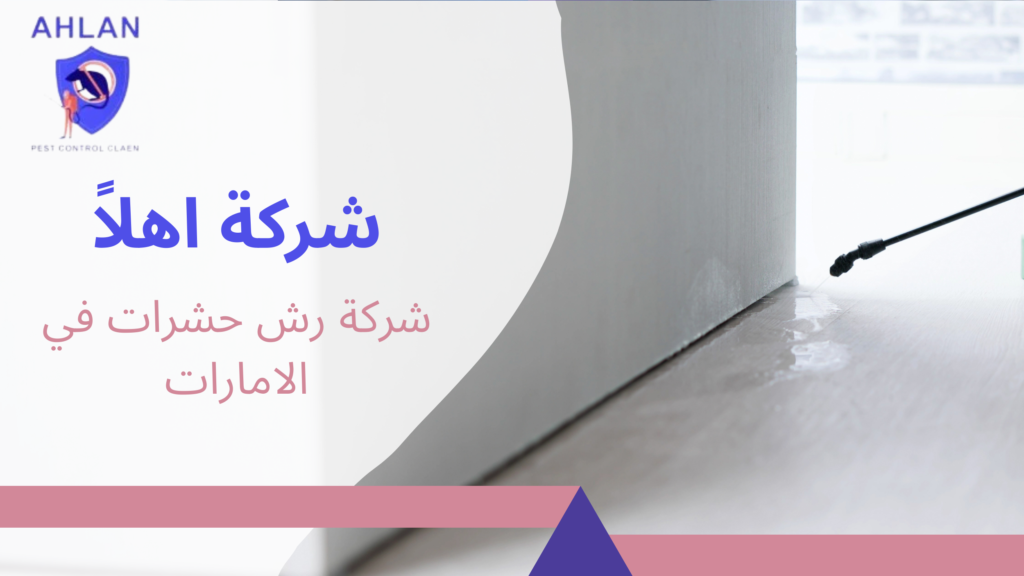 شركة رش حشرات في الامارات