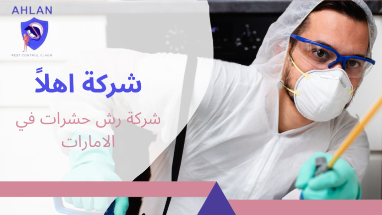 شركة رش حشرات في الامارات مكافحة جميع أنواع الحشرات 2026