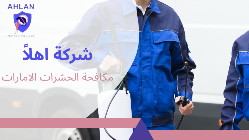 مكافحة الحشرات الامارات