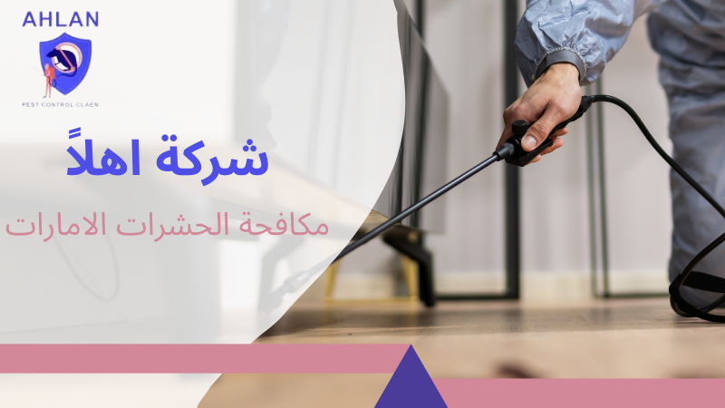 مكافحة الحشرات الامارات