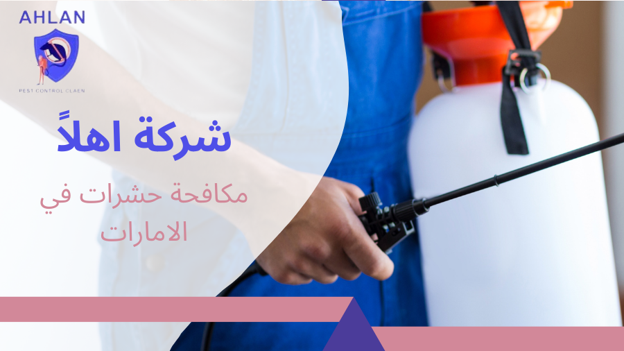 مكافحة حشرات في الامارات