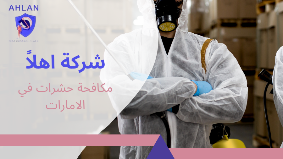 مكافحة حشرات في الامارات