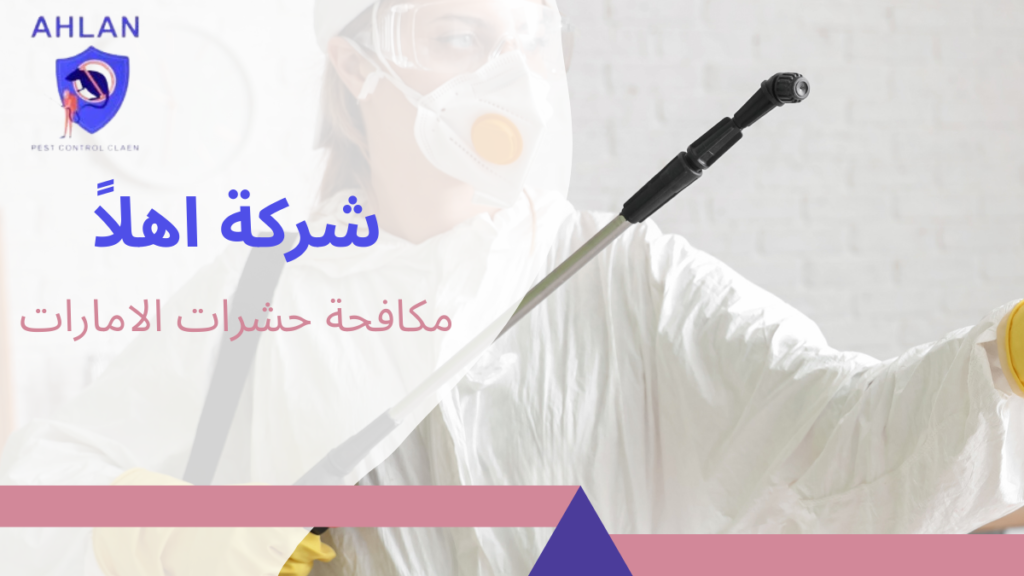 مكافحة حشرات الامارات