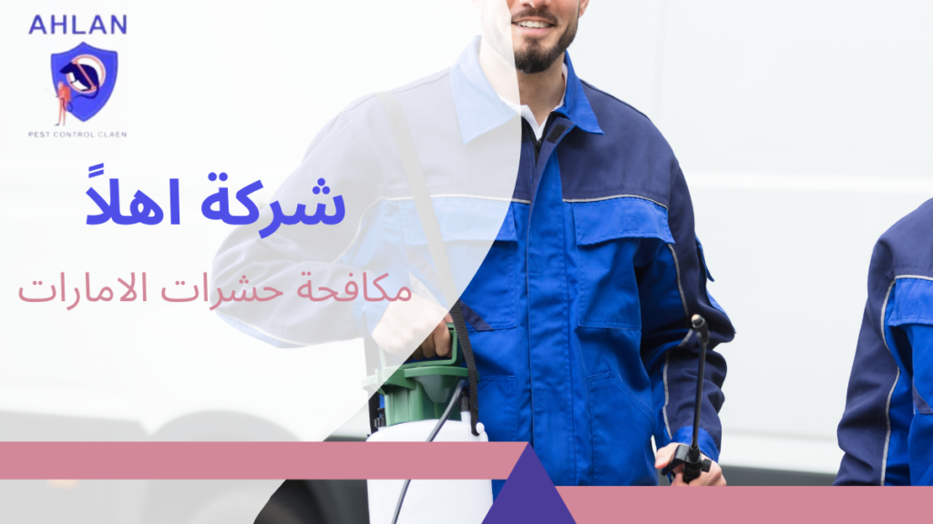 مكافحة حشرات الامارات