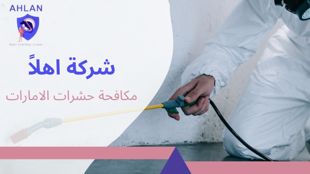 مكافحة حشرات الامارات