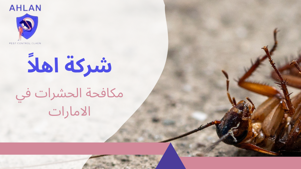 مكافحة الحشرات في الامارات