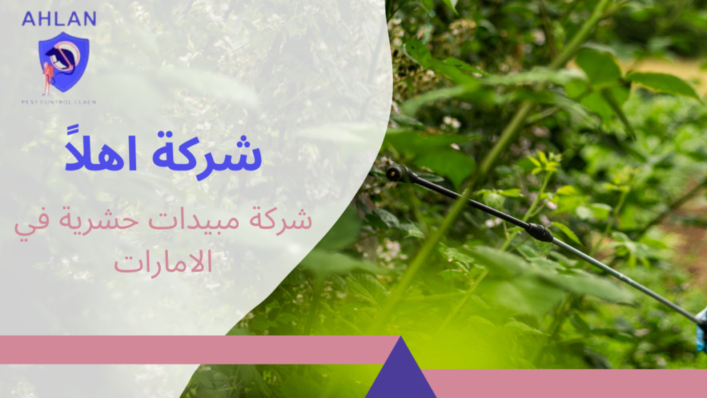 شركة مبيدات حشرية في الامارات
