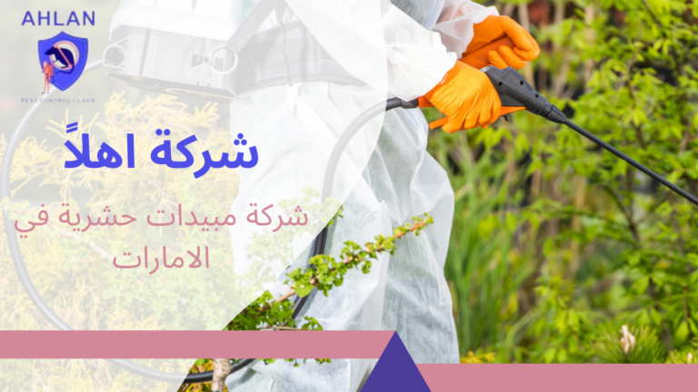 شركة مبيدات حشرية في الامارات