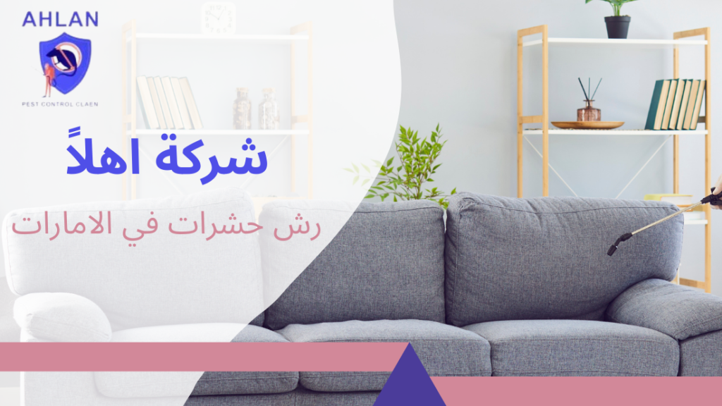 رش حشرات في الامارات