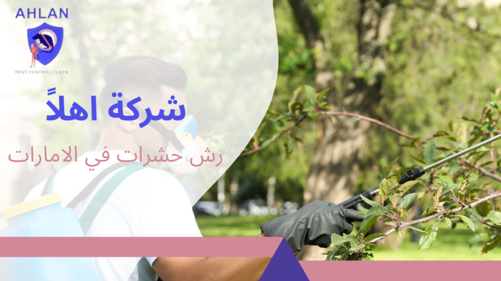 رش حشرات في الامارات