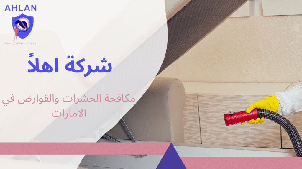 مكافحة الحشرات والقوارض في الامارات