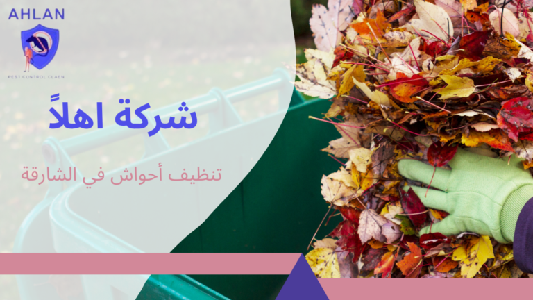 تنظيف أحواش في الشارقة أفضل خدمات تنظيف الفلل والحدائق 2026