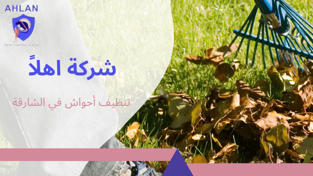 تنظيف أحواش في الشارقة