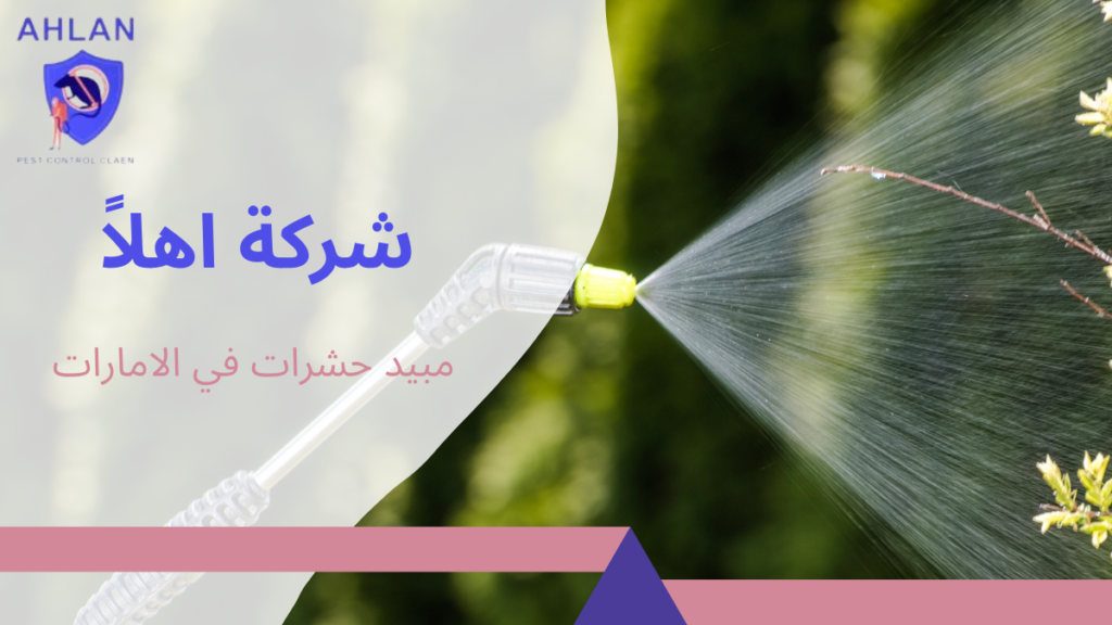 مبيد حشرات في الامارات