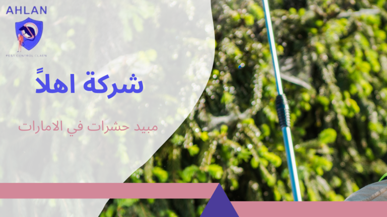 مبيد حشرات في الامارات