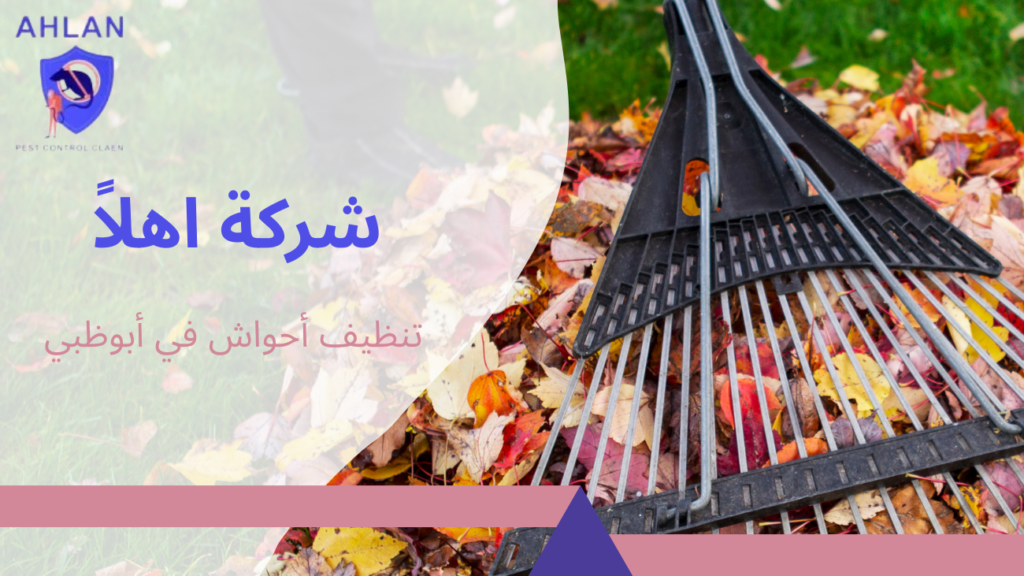 تنظيف أحواش في أبوظبي