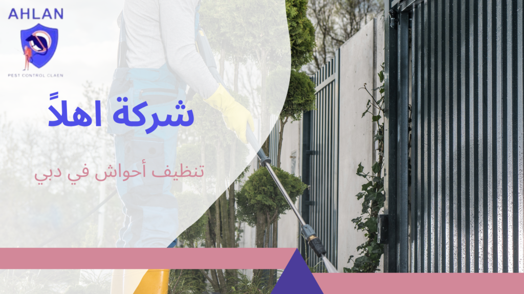 تنظيف أحواش في دبي