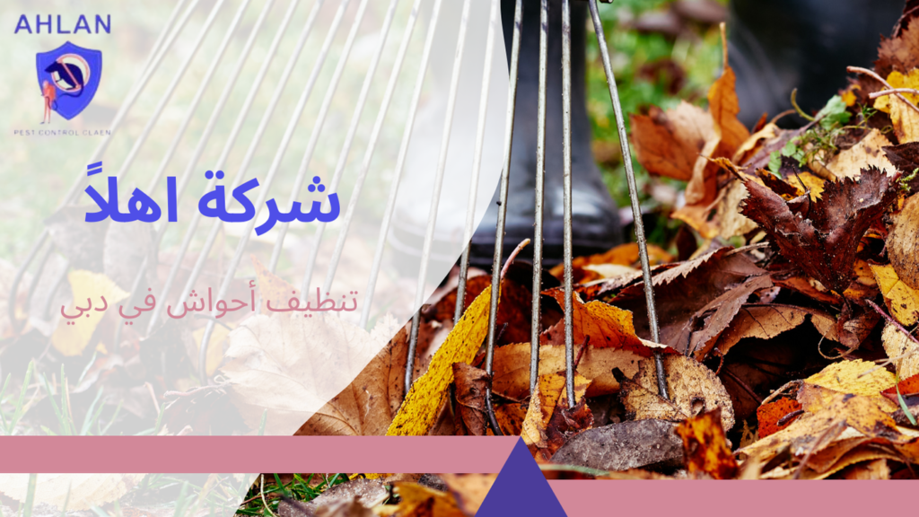 تنظيف أحواش في دبي