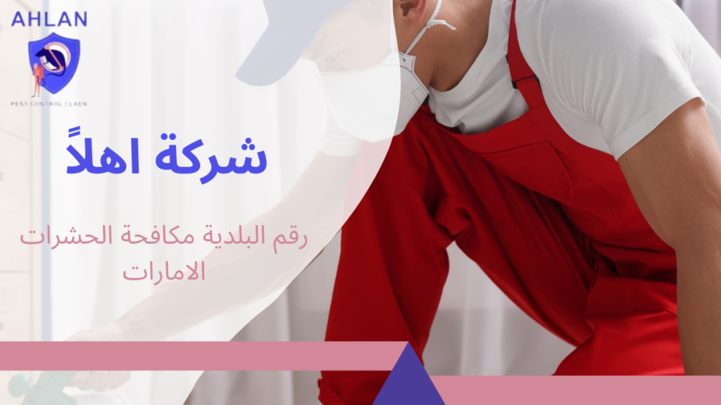 رقم البلدية مكافحة الحشرات الامارات