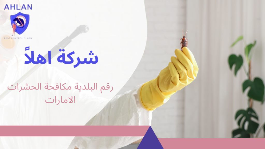 رقم البلدية مكافحة الحشرات الامارات
