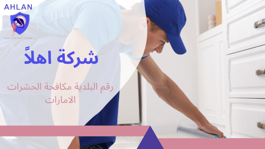 رقم البلدية مكافحة الحشرات الامارات