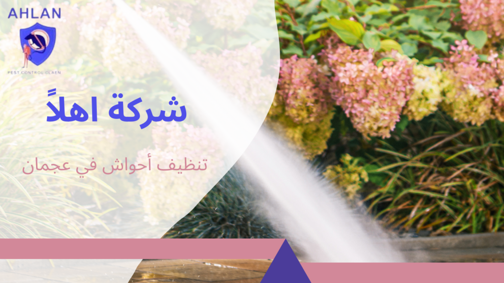 تنظيف أحواش في عجمان