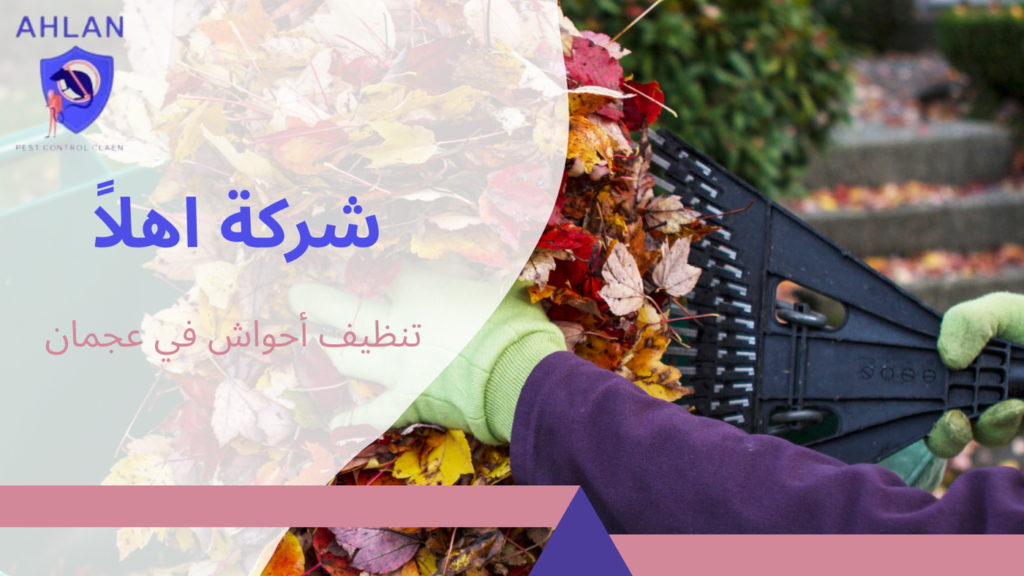 تنظيف أحواش في عجمان