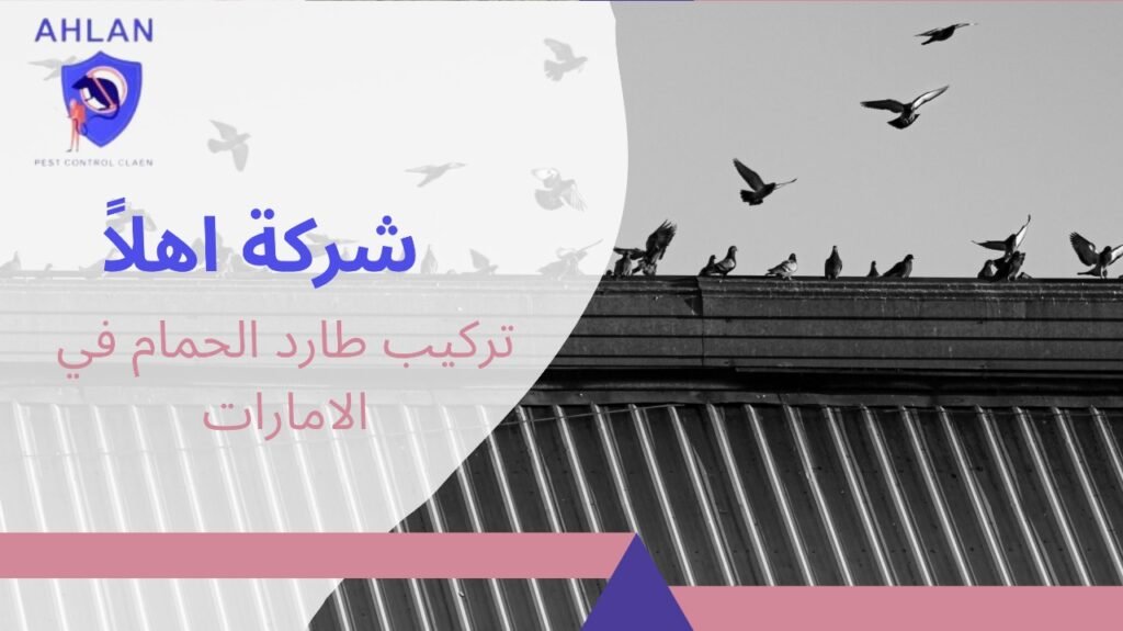 تركيب طارد الحمام في الامارات