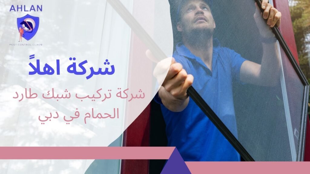 شركة تركيب شبك طارد الحمام في دبي