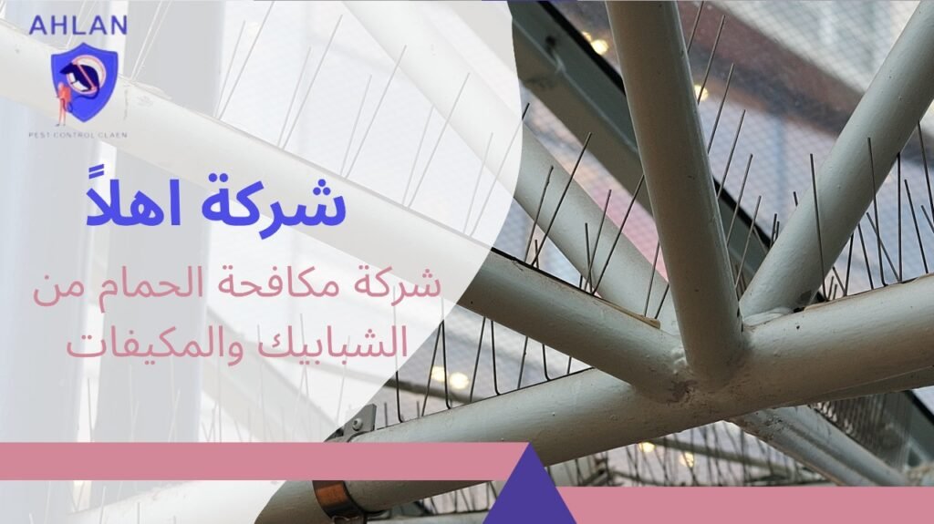 شركة مكافحة الحمام من الشبابيك والمكيفات
