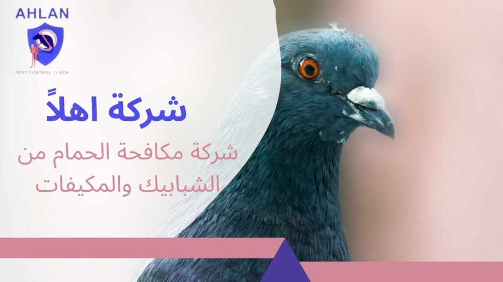 شركة مكافحة الحمام من الشبابيك والمكيفات